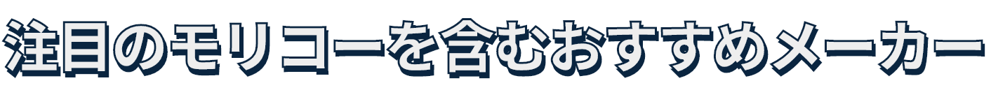 注目のモリコーを含むおすすめメーカー