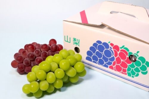 産業用インクジェットプリンターによる化粧箱印字で製品の販促効果も高める