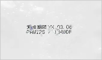 高濃度アルコールで消えてしまった印字
