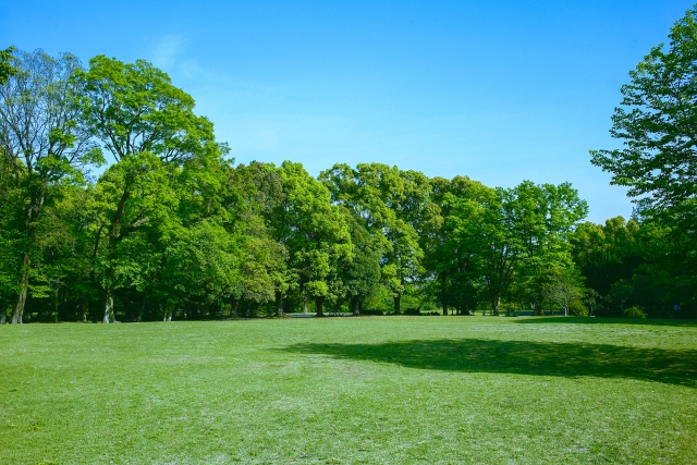 エコのイメージ　緑豊かな場所